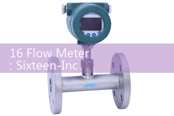 16 Flow Meter: Sixteen-Inch Large Scale Pipeline Distributing Main Probes
