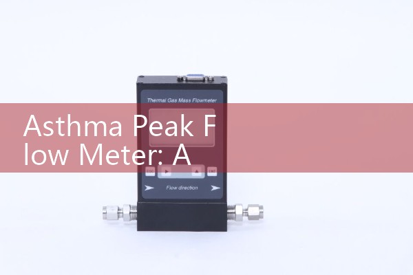 Asthma Peak Flow Meter: A handheld device used to measure the maximum speed at which a person can exhale air.