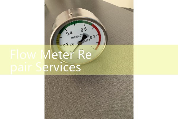 Flow Meter Repair Services Standards: Certified Refurbishment for Industrial Sensors