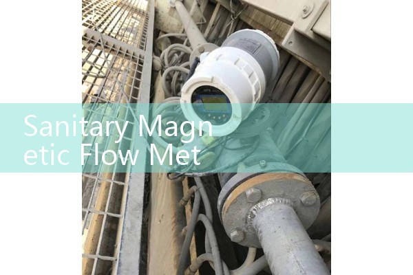 Sanitary Magnetic Flow Meter: Clean-In-Place Food and Dairy Fluid Probes
