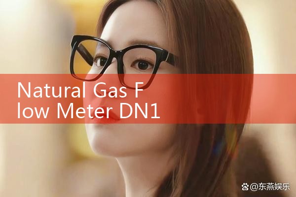 natural gas flow meter DN100|arduino flow meter