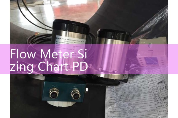 Flow Meter Sizing Chart PDF: Matching Maximum and Minimum Flow Rates to Nominal Pipe Diameters
