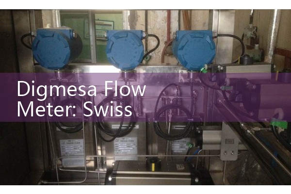 Digmesa Flow Meter: Swiss High Precision Coffee Maker Fluid Sizer Selection