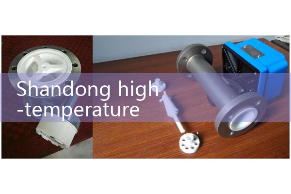 Shandong High Temperature Mass Flow Meter Manufacturer