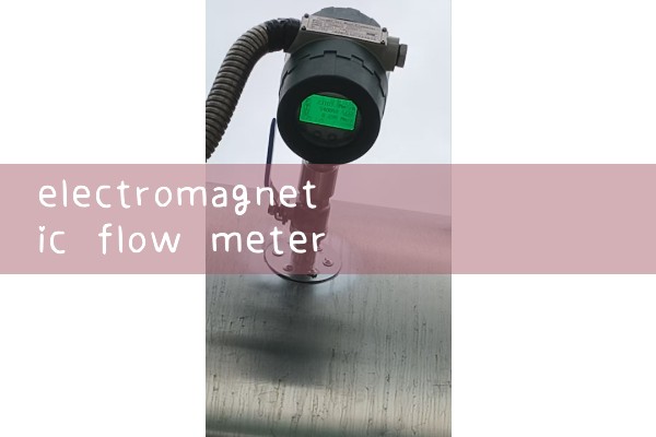 electromagnetic flow meter stainless steel electrode|venturi meter